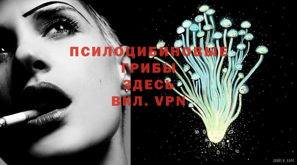 кристаллы Краснослободск